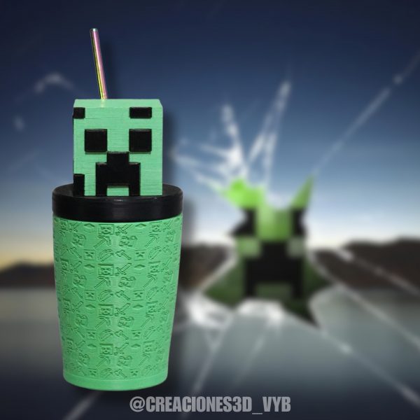 Vaso Minecraft